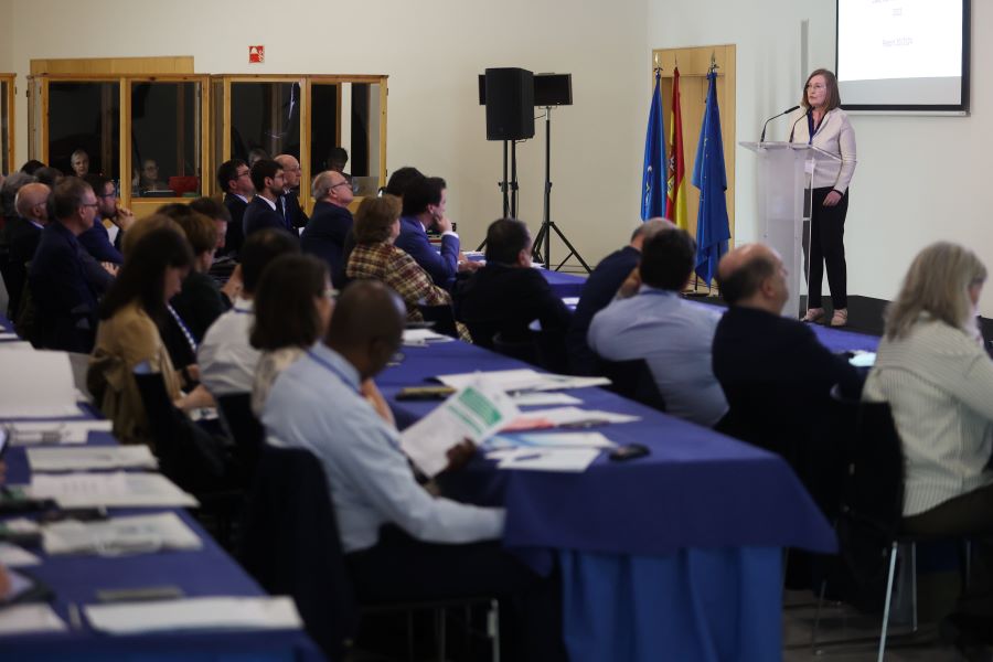 La síndica Maria Àngels Cabasés, durante el seminario de EURORAI.